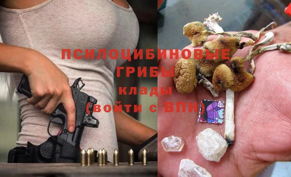 прущие крисы Белоозёрский