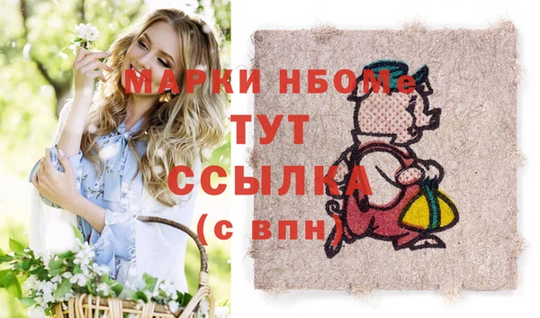 МДПВ Снежинск